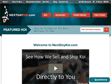 Tablet Screenshot of nextdaykoi.com